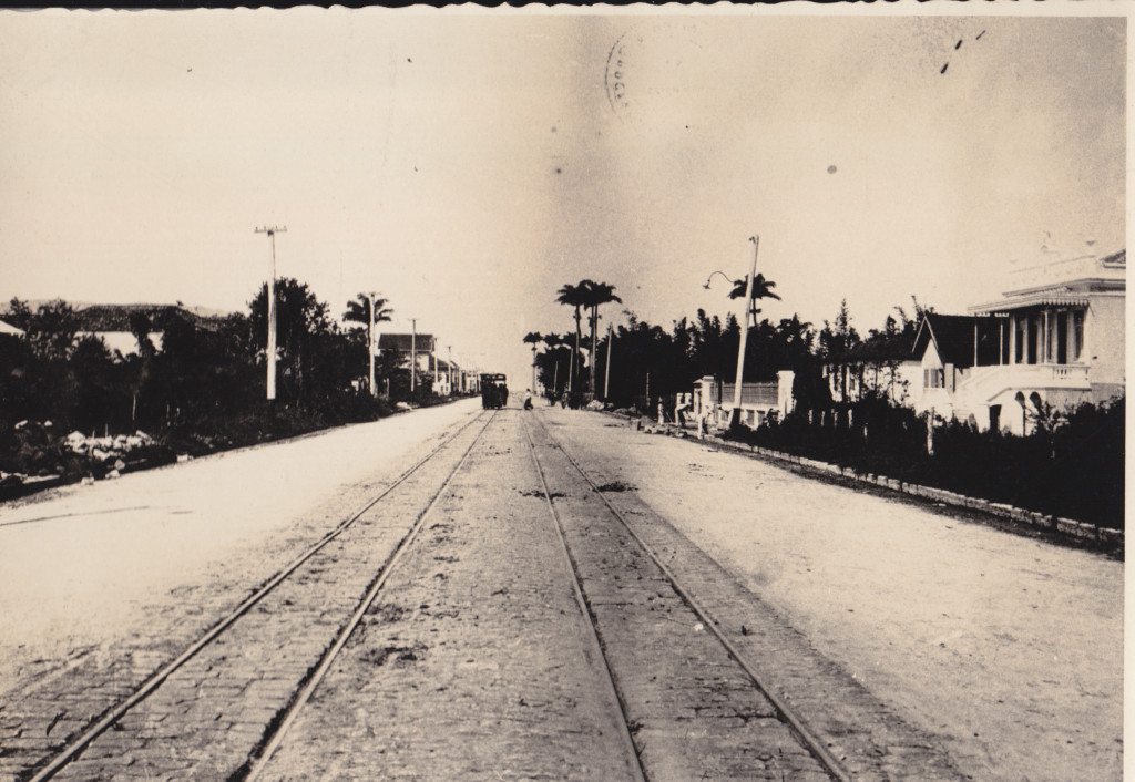 A avenida Conselheiro Nébias no começo do século XX. Início da ocupação por casas.