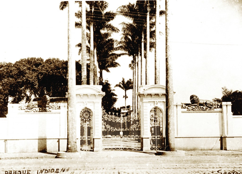 A entrada principal do Parque Indígena ficava na Conselheiro Nébias. No pórtico, duas estátuas de leões guardavam a entrada. Uma delas está até hoje preservada, na entrada do Estádio do Jabaquara.