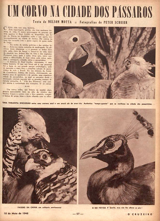 Revista O Cruzeiro, uma das mais influentes do Brasil, fez matéria ampla sobre a Vila dos Pássaros, em Santos.