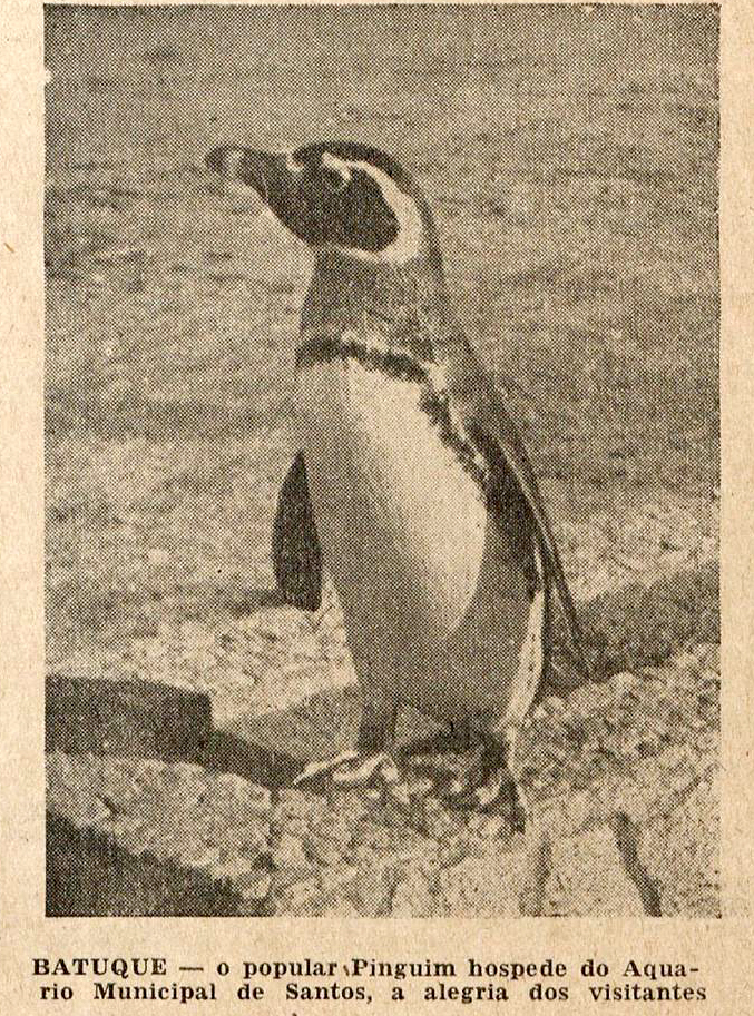 Aquário - Penguin Livros